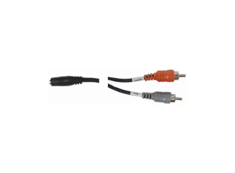 Hosa CFR210 stmjF/2xphono 10 ft 